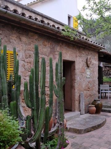Hostal Catalina Vera Puerto de Andratx Exteriör bild